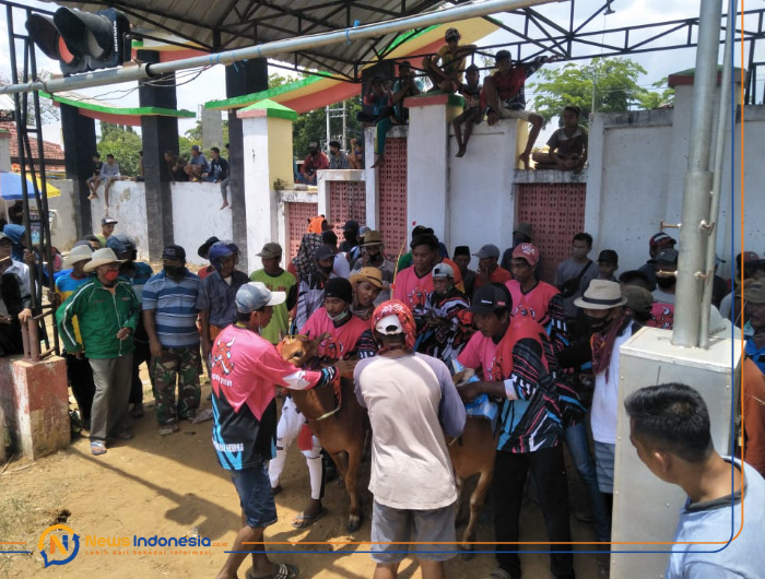 BERJUBEL: Peserta event karapan sapi saat berada di luar Lapangan Giling Sumenep (Wakid Maulana)