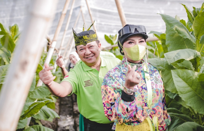 Foto: Bupati Jember Hendy Siswanto dan istri berfoto di tengah kebun tembakau.