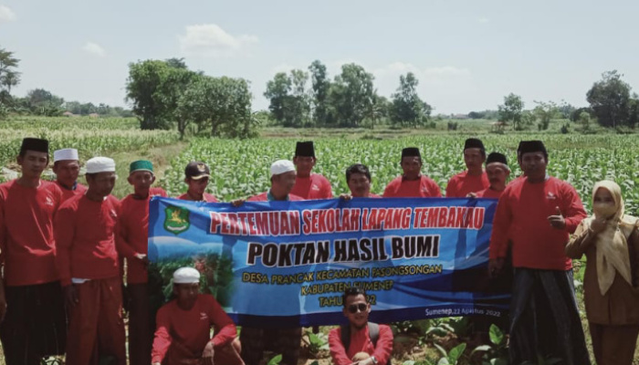 Foto: DKPP Kabupaten Sumenep saat melaksanakan Sekolah Lapang (SL) untuk para petani tembakau.