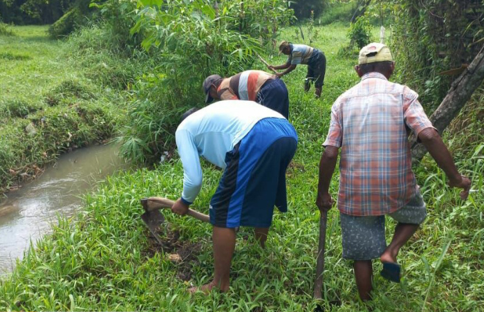 Foto: Warga Jubung menanam bibit pohon kelapa tepat di momen peringatan Hari Lingkungan Hidup Sedunia.